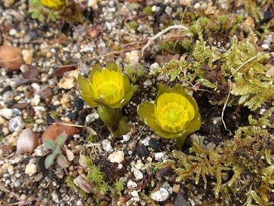 20120307.jpg