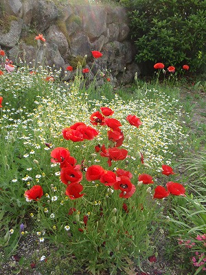 201205292.jpg