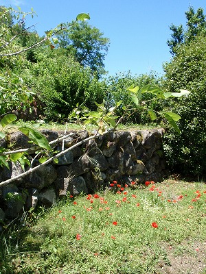 P6040004.jpg