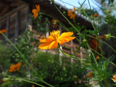 P8200391.jpg