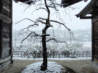 PC190056.jpg