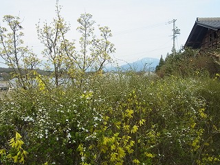 R0019450.jpg