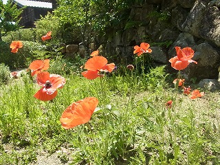 R0019711.jpg