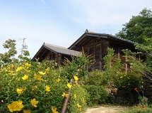 6月