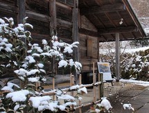 2013.1.17