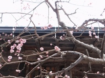 3月
