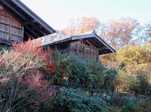 2013.11.30