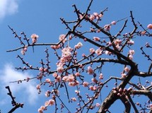 2014.3.23