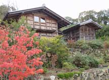 11月