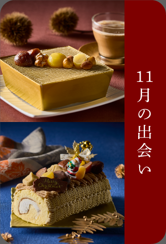 １１月の出会い