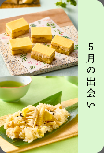 5月の出会い
