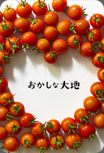 おかしな大地
