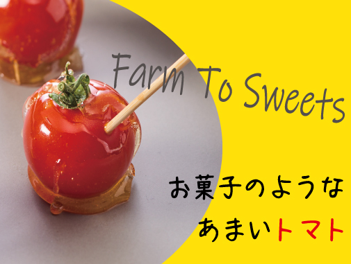 栗菓子 洋菓子通販の恵那川上屋
