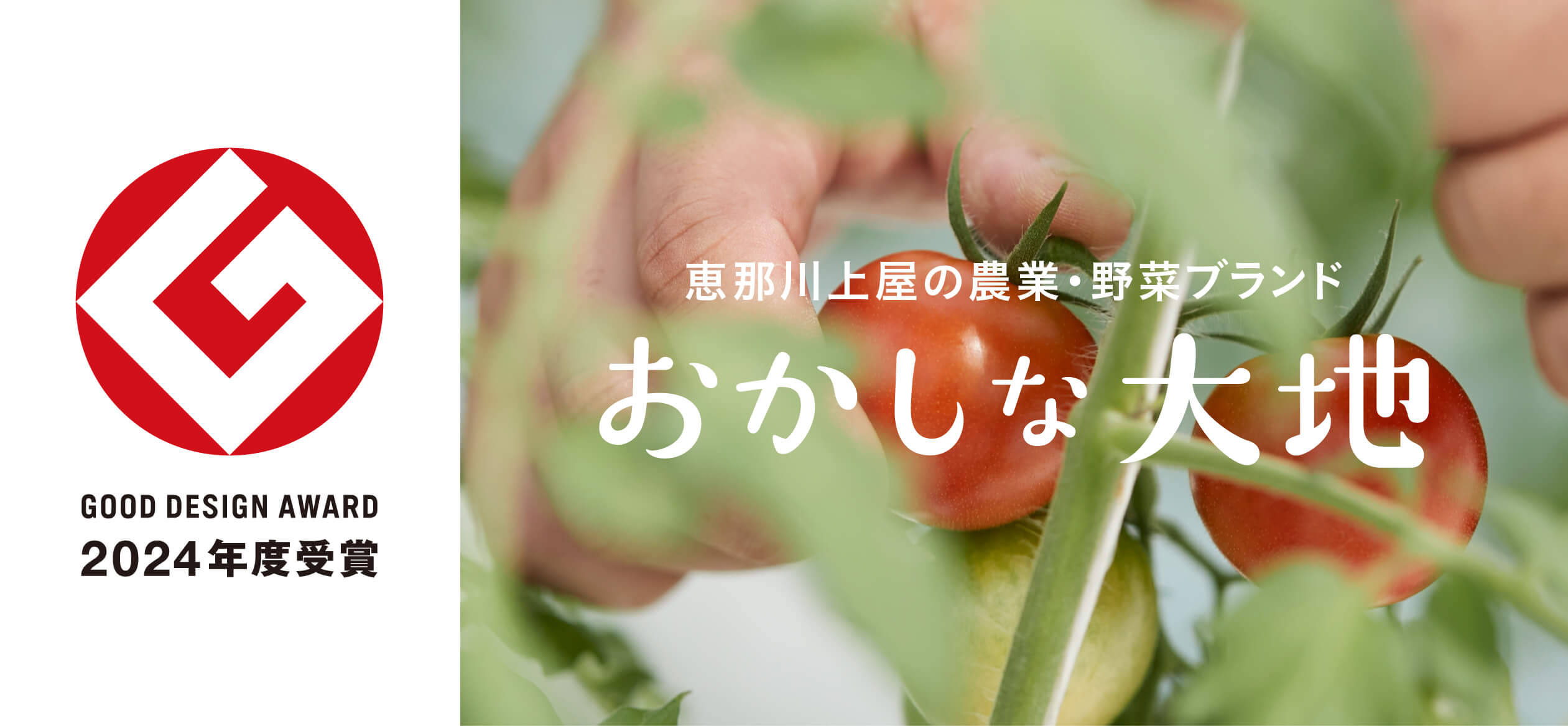 おかしな大地