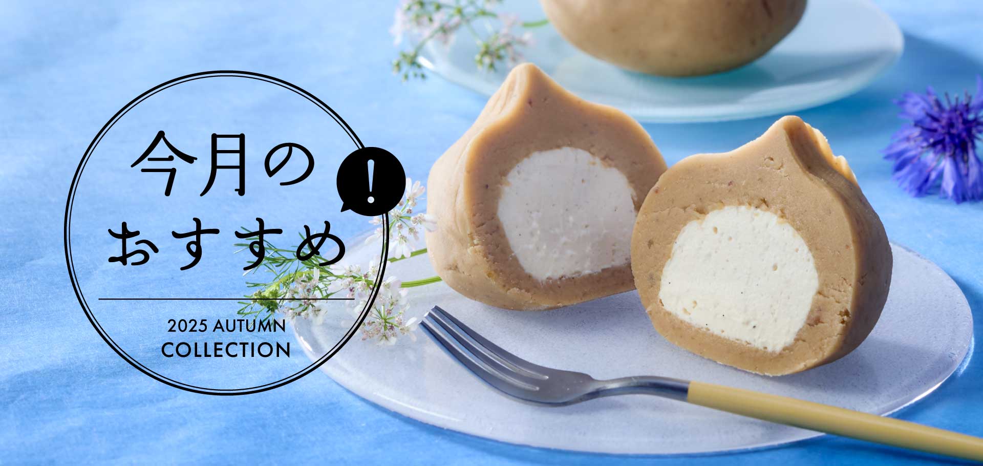 今月のおすすめ