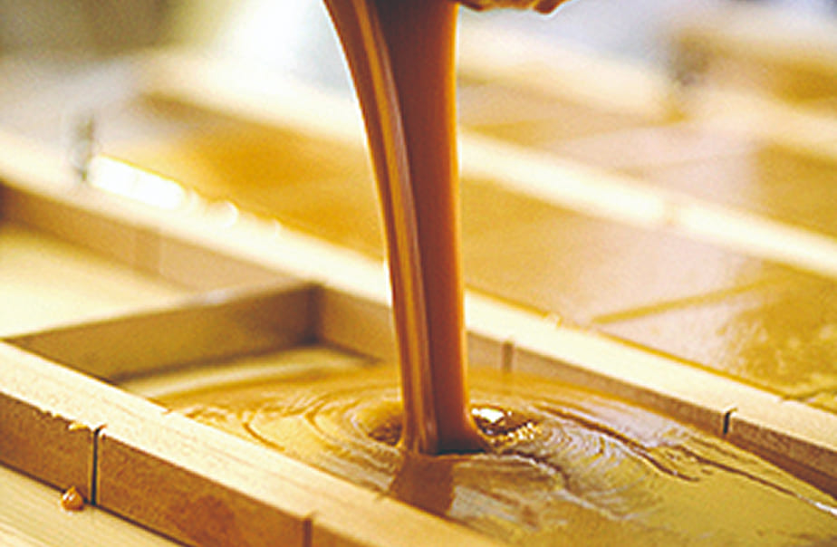 商品のポイント