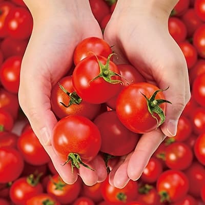 おかしなトマト(200g×12P)